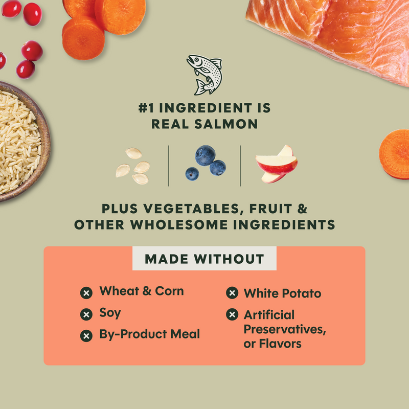 Instinct Raw Boost Whole Grain Salmon & Brown Rice Dry Dog Food, 3.5 lb. Bag