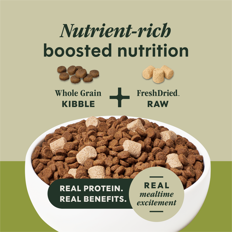 Instinct Raw Boost Whole Grain Lamb & Oatmeal Dry Dog Food, 3.5 lb. Bag