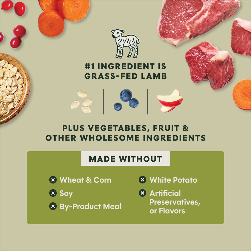 Instinct Raw Boost Whole Grain Lamb & Oatmeal Dry Dog Food, 3.5 lb. Bag