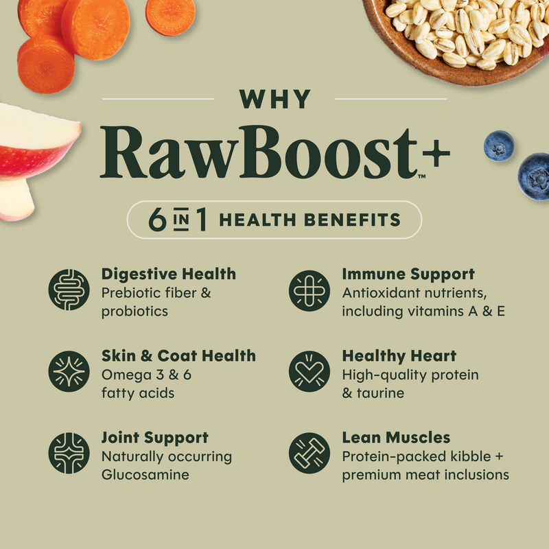 Instinct Raw Boost Whole Grain Salmon & Brown Rice Dry Dog Food, 19 lb. Bag