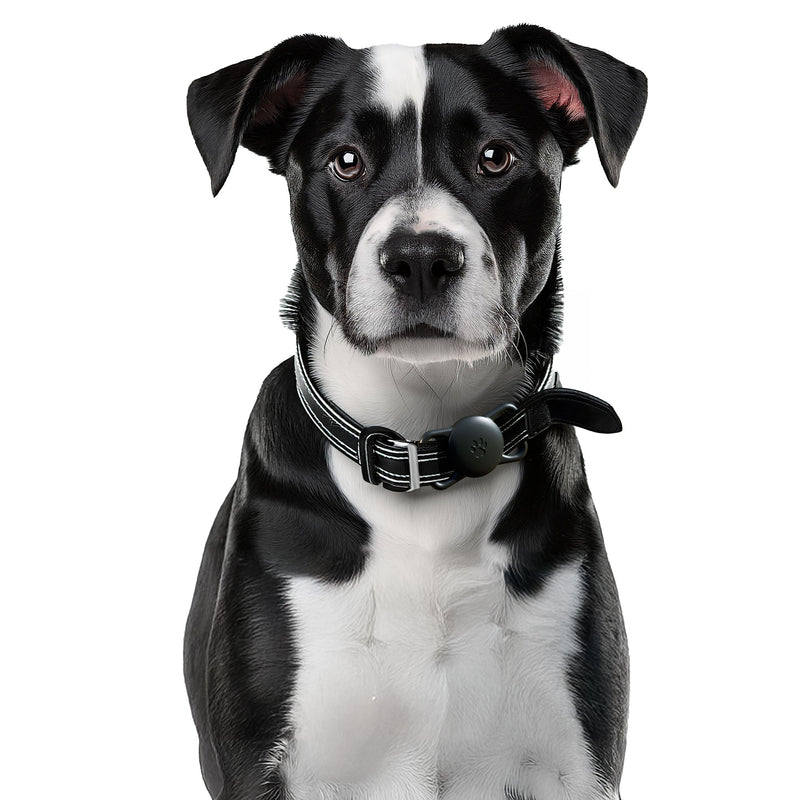 AirPet Locator Tag with Collar Holder