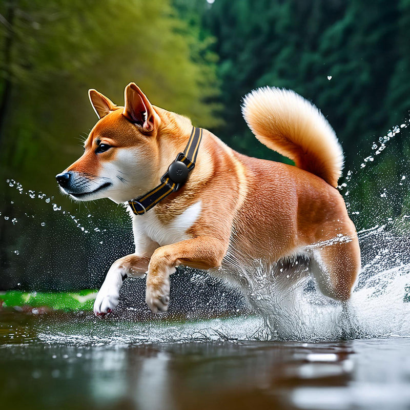 AirPet Locator Tag with Collar Holder