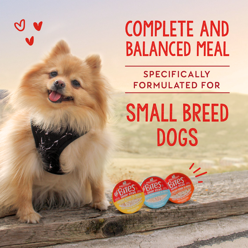 Stella & Chewy's Lil Bites Savory Stews - Chicken & Turkey Dinner in Broth for Dogs - 2.7 oz. Cup