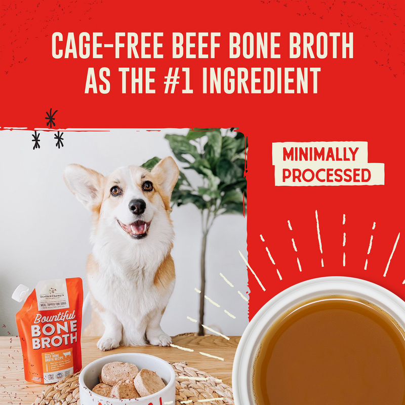 Stella & Chewy's Bountiful Bone Broth Grass-Fed Beef Bone Broth Recipe for Dogs, 16 oz. Resealable Pouch