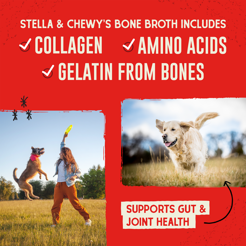 Stella & Chewy's Bountiful Bone Broth Cage Free Chicken Bone Broth Recipe for Dogs 16 oz. Resealable Pouch