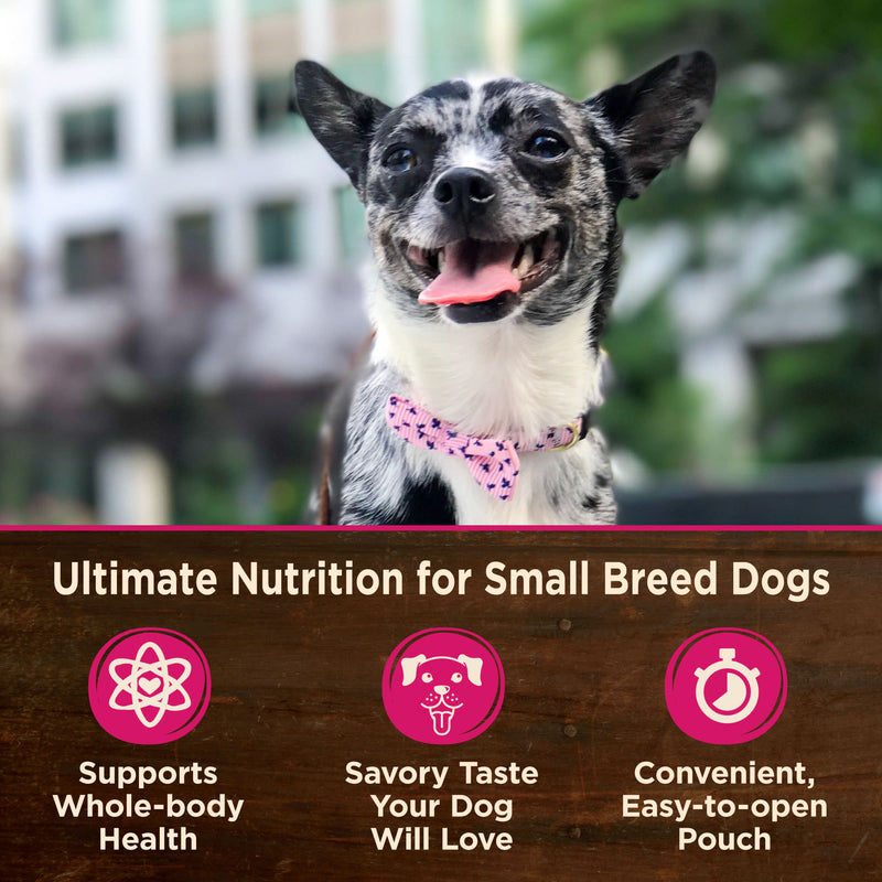 Wellness CORE Natural Grain Free Small Breed Mini Meals Wet Dog Food, Paté Beef & Chicken Dinner, 3-Ounce Pouch