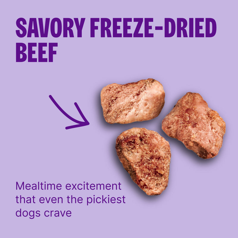 Wellness CORE+ (Formerly RawRev) Dry Dog Food with Freeze Dried Pieces, Wholesome Grains, High Protein, Natural, Beef & Barley Recipe, (18-Pound Bag)