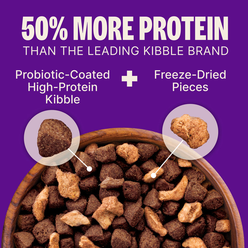 Wellness CORE+ (Formerly RawRev) Dry Dog Food with Freeze Dried Pieces, Wholesome Grains, High Protein, Natural, Beef & Barley Recipe, (18-Pound Bag)