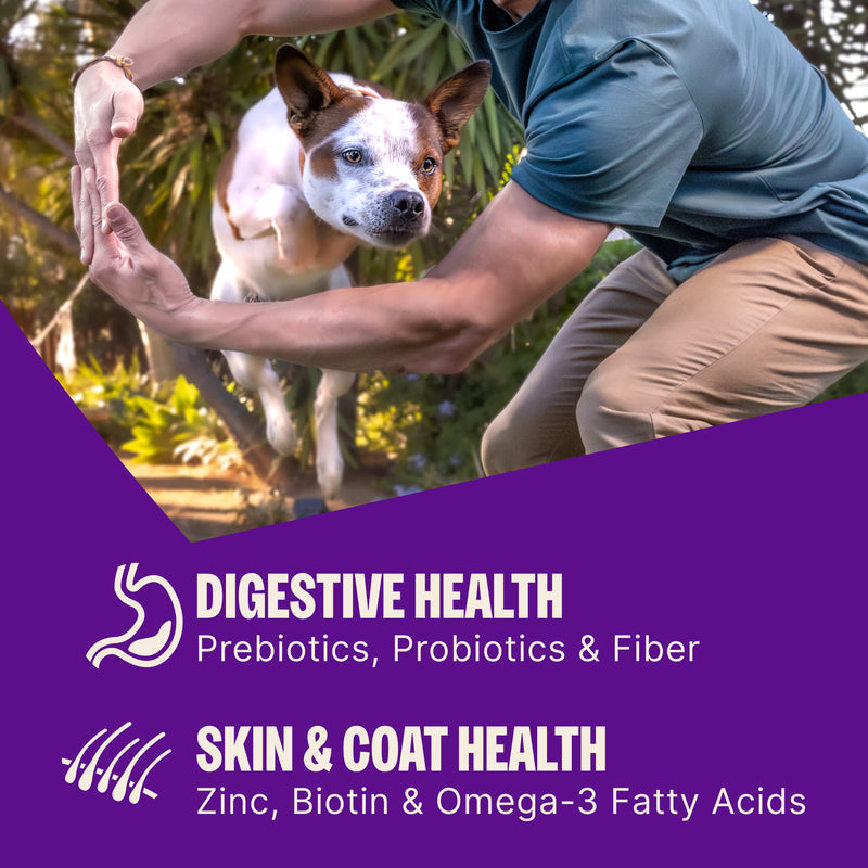 Wellness CORE+ (Formerly RawRev) Dry Dog Food with Freeze Dried Pieces, Wholesome Grains, High Protein, Natural, Beef & Barley Recipe, (18-Pound Bag)