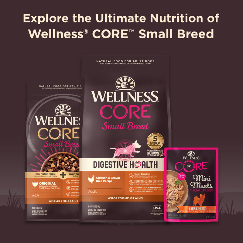 Wellness CORE Natural Grain Free Small Breed Mini Meals Wet Dog Food, Shredded Chicken & Lamb Entrée in Gravy, 3-Ounce Pouch