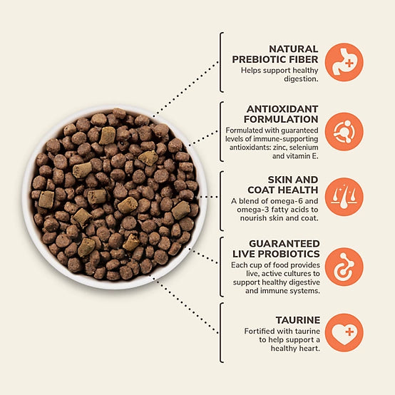 4health Untamed All Life Stages Ocean Harvest Recipe with Salmon and Whitefish Dry Dog Food