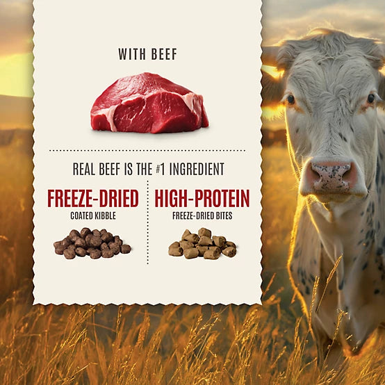 4health Untamed All Life Stages Primal Cuts with Beef Recipe Dry Dog Food