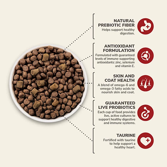4health Untamed All Life Stages Primal Cuts with Beef Recipe Dry Dog Food