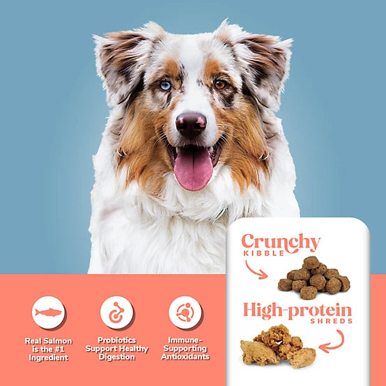 4health Shreds Adult High Protein Salmon/Potato Formula Dry Dog Food