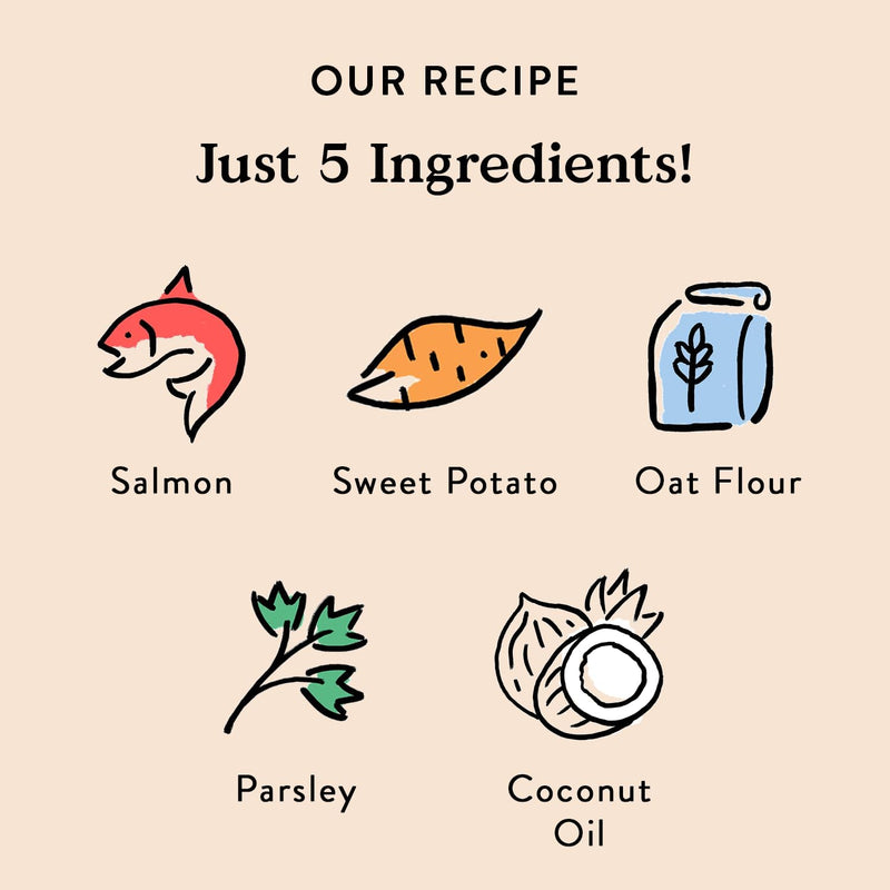 Bocce's Bakery Fish & Chips Treats for Dogs - Special Edition Wheat-Free Dog Treats, Made with Real Ingredients, Baked in The USA, All-Natural Salmon & Sweet Potato Biscuits, 5 oz