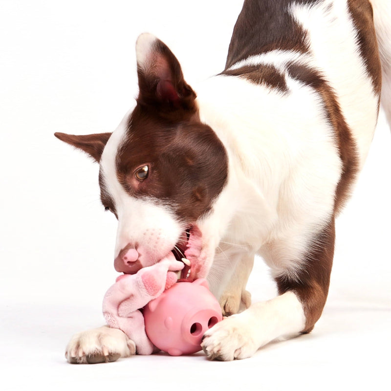 BARK Super Chewer Hambone pig hog pink rubber dog toy M