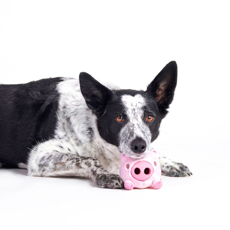 BARK Super Chewer Hambone pig hog pink rubber dog toy M
