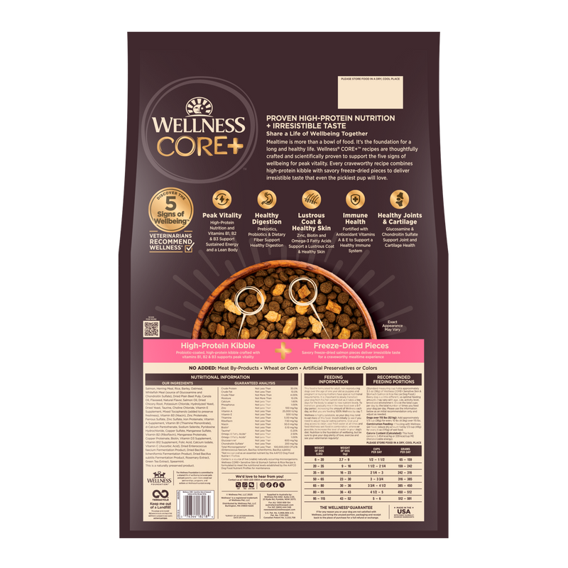 Wellness CORE+ Sensitive Skin & Stomach Dry Dog Food with Freeze Dried Pieces, Wholesome Grains, High Protein, Natural, Salmon & Rice Recipe, (18-Pound Bag)
