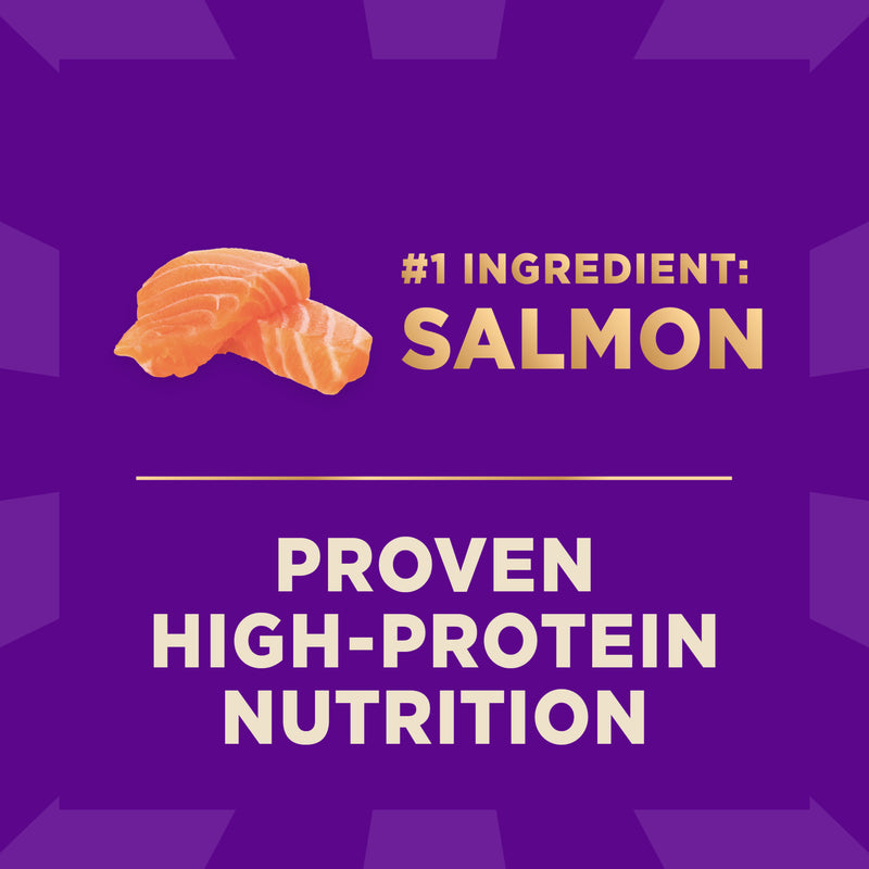 Wellness CORE+ Sensitive Skin & Stomach Dry Dog Food with Freeze Dried Pieces, Wholesome Grains, High Protein, Natural, Salmon & Rice Recipe, (18-Pound Bag)