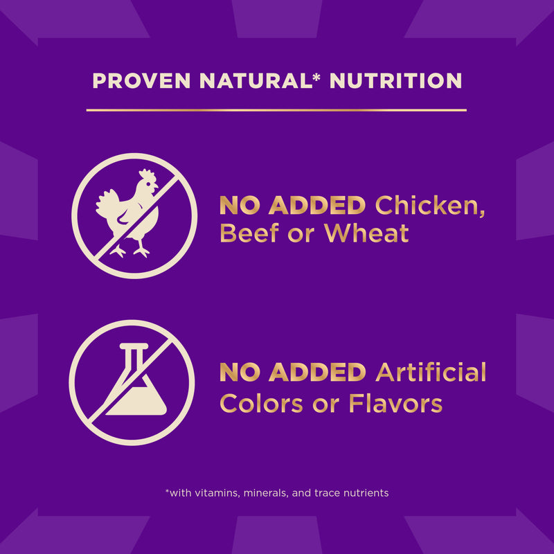 Wellness CORE+ Sensitive Skin & Stomach Dry Dog Food with Freeze Dried Pieces, Wholesome Grains, High Protein, Natural, Salmon & Rice Recipe, (18-Pound Bag)