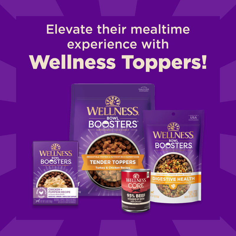 Wellness CORE+ Sensitive Skin & Stomach Dry Dog Food with Freeze Dried Pieces, Wholesome Grains, High Protein, Natural, Salmon & Rice Recipe, (18-Pound Bag)