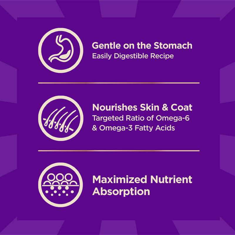 Wellness CORE+ Sensitive Skin & Stomach Dry Dog Food with Freeze Dried Pieces, Wholesome Grains, High Protein, Natural, Salmon & Rice Recipe, (4-Pound Bag)