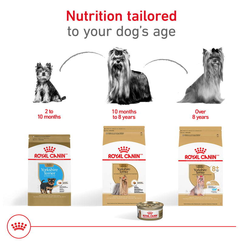 Royal Canin Breed Health Nutrition® Yorkshire Terrier Adult Loaf In Sauce Dog Food, 3 oz, 6-pack