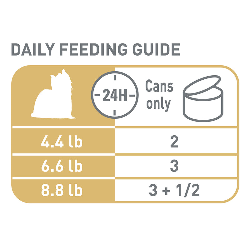 Royal Canin Breed Health Nutrition® Yorkshire Terrier Adult Loaf In Sauce Dog Food, 3 oz, 6-pack