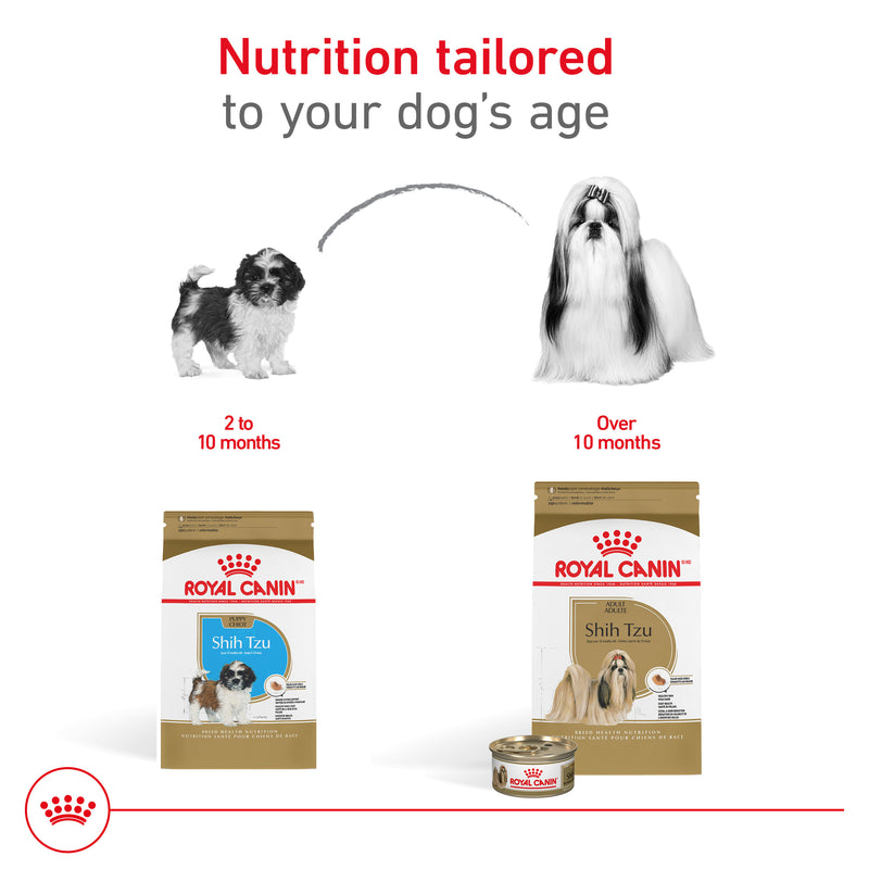 Royal Canin Breed Health Nutrition® Shih Tzu Loaf In Sauce Dog Food, 3 oz, 6-pack