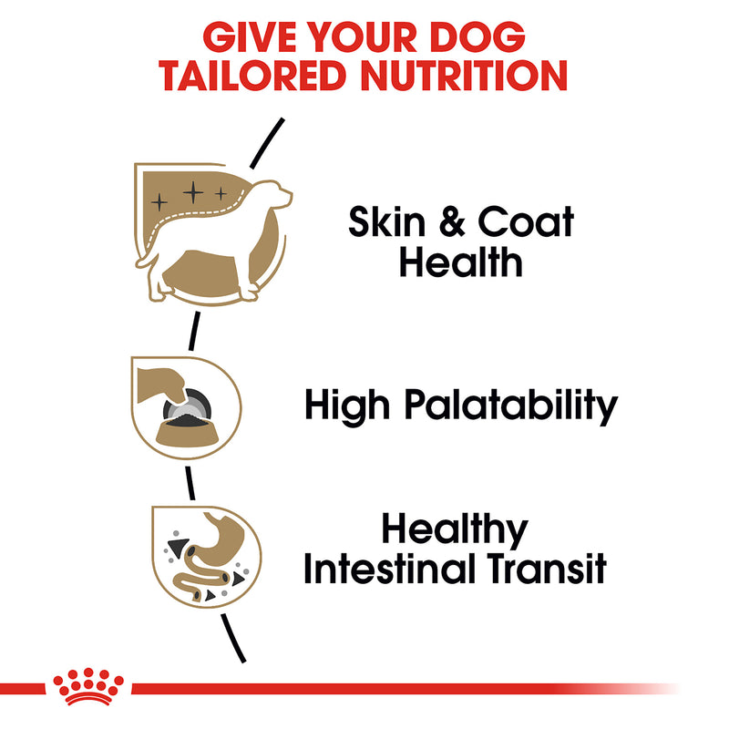 Royal Canin Breed Health Nutrition® Chihuahua Adult Loaf In Sauce Dog Food, 3 oz, 6-pack