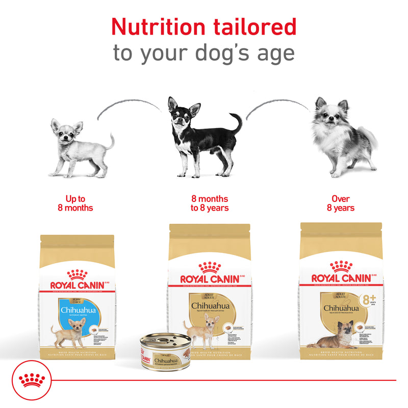 Royal Canin Breed Health Nutrition® Chihuahua Adult Loaf In Sauce Dog Food, 3 oz, 6-pack