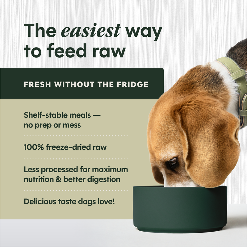 Instinct Raw Meals Freeze-Dried Chicken Dog Food, 3 oz. Bag