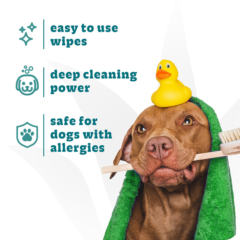 Espree Dog & Cat Hypoallergenic Aloe Wipes, 50ct