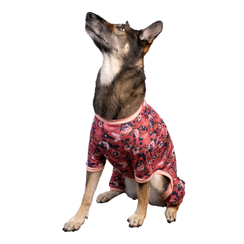 BUTTERFLY DOG PAJAMAS