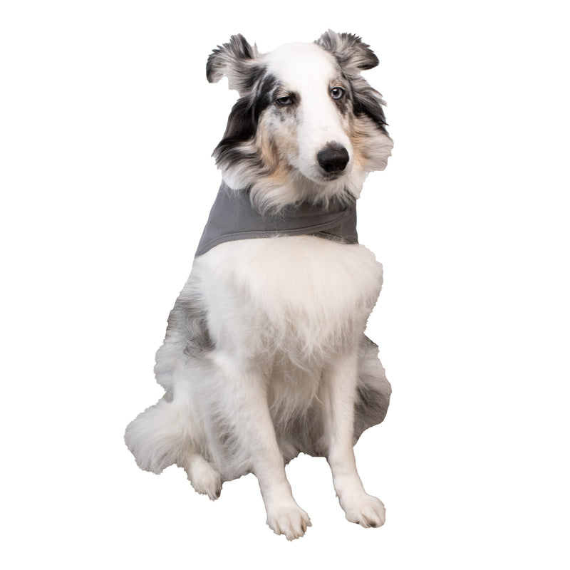 GREY CANVAS DOG COAT