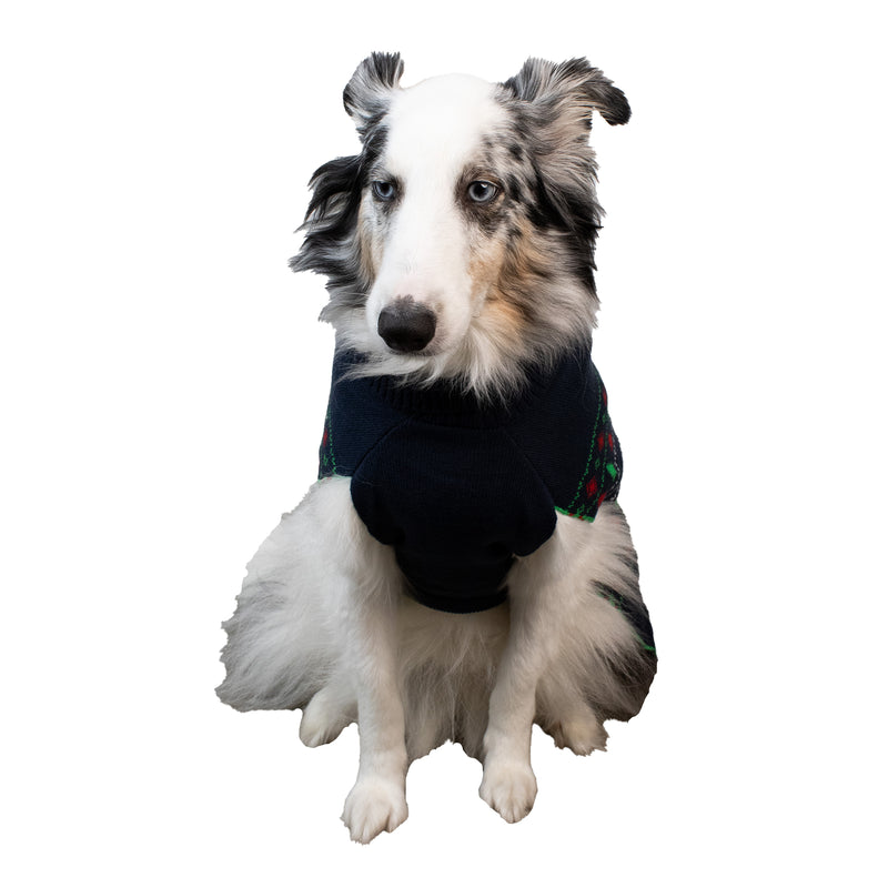 KISS SANTA COLLARED SWEATER