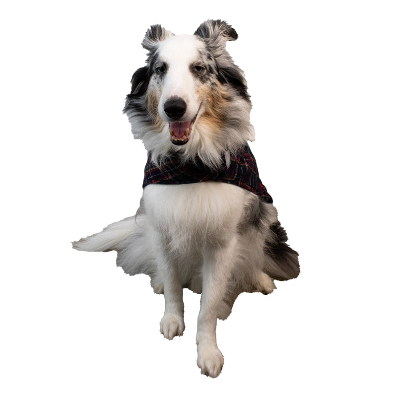 PLAID SHERPA COLLARED COAT