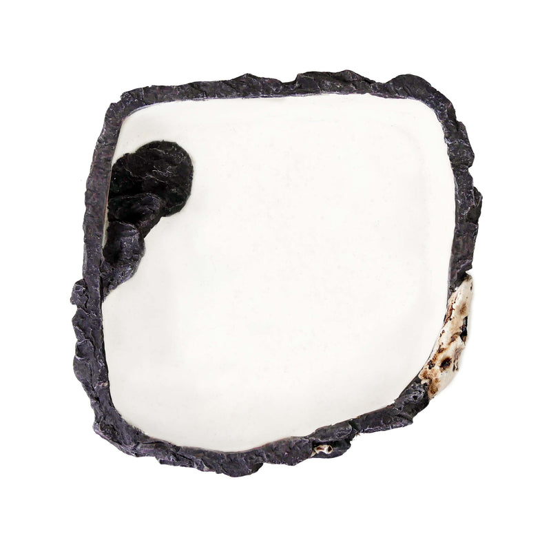 Reptology Fossil Rock Food / Water Dish – Great for Reptiles and Amphibians – Large