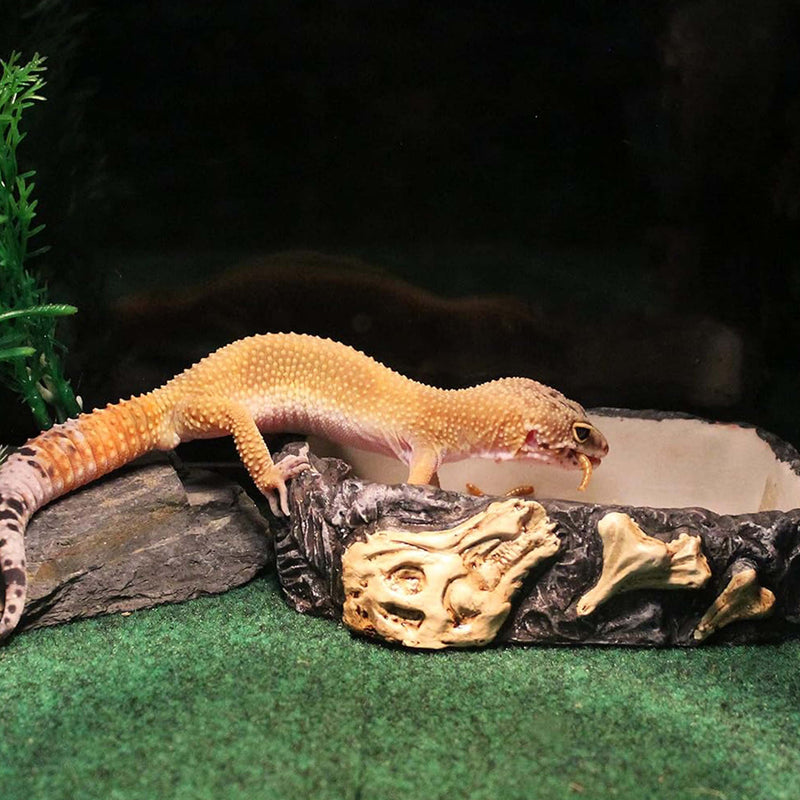 Reptology Fossil Rock Food / Water Dish – Great for Reptiles and Amphibians – Large