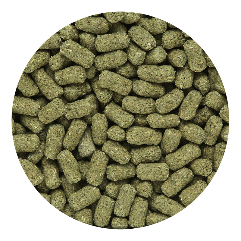 Mulberific Delite® Special Hydration Assist Tortoise Formula