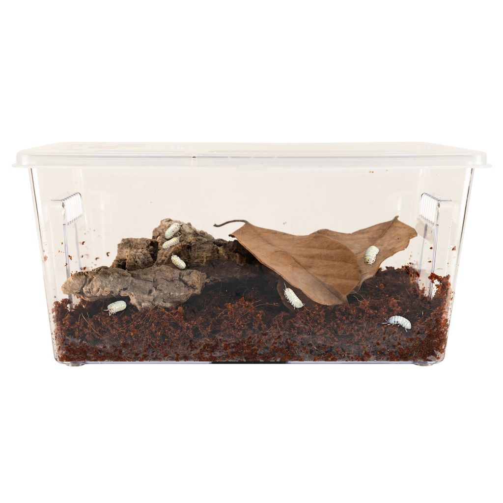 Zoo Med Creatures® Roly-Poly Kit – Isopod Habitat – Petsense