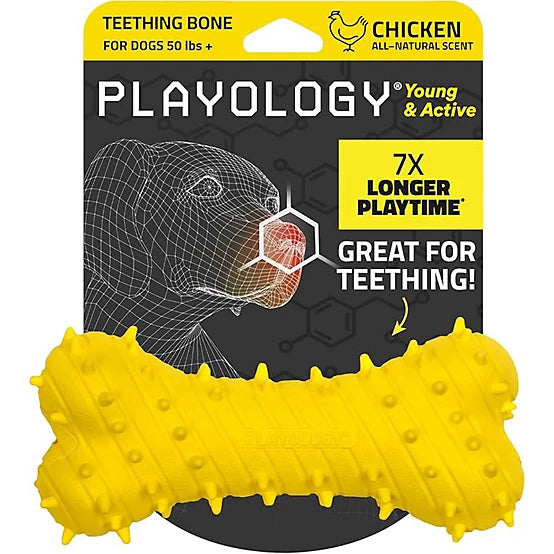 Playology Teething Bone Chicken Jumbo