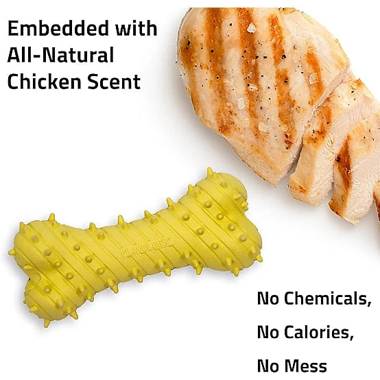 Playology Teething Bone Chicken Jumbo