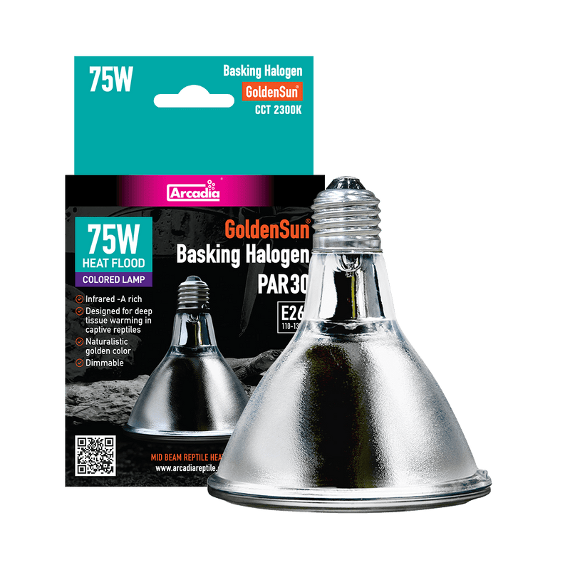 Arcadia Reptile GoldenSun Reptile Halogen Heat Lamp, 75 Watt