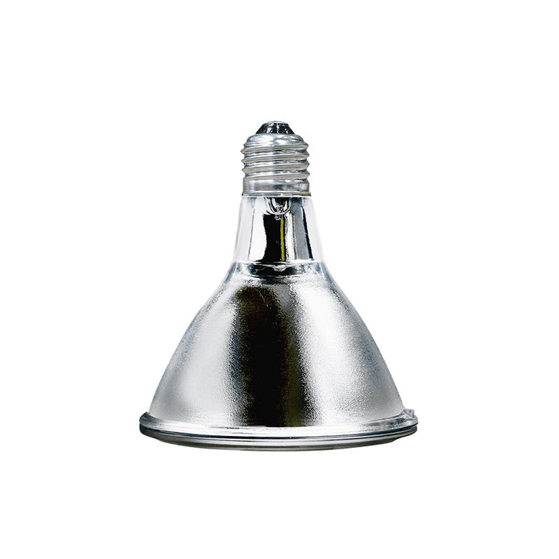 Arcadia Reptile GoldenSun Reptile Halogen Heat Lamp, 75 Watt