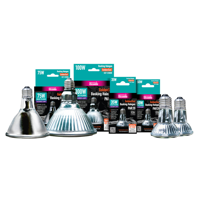 Arcadia Reptile GoldenSun Reptile Halogen Heat Lamp, 75 Watt