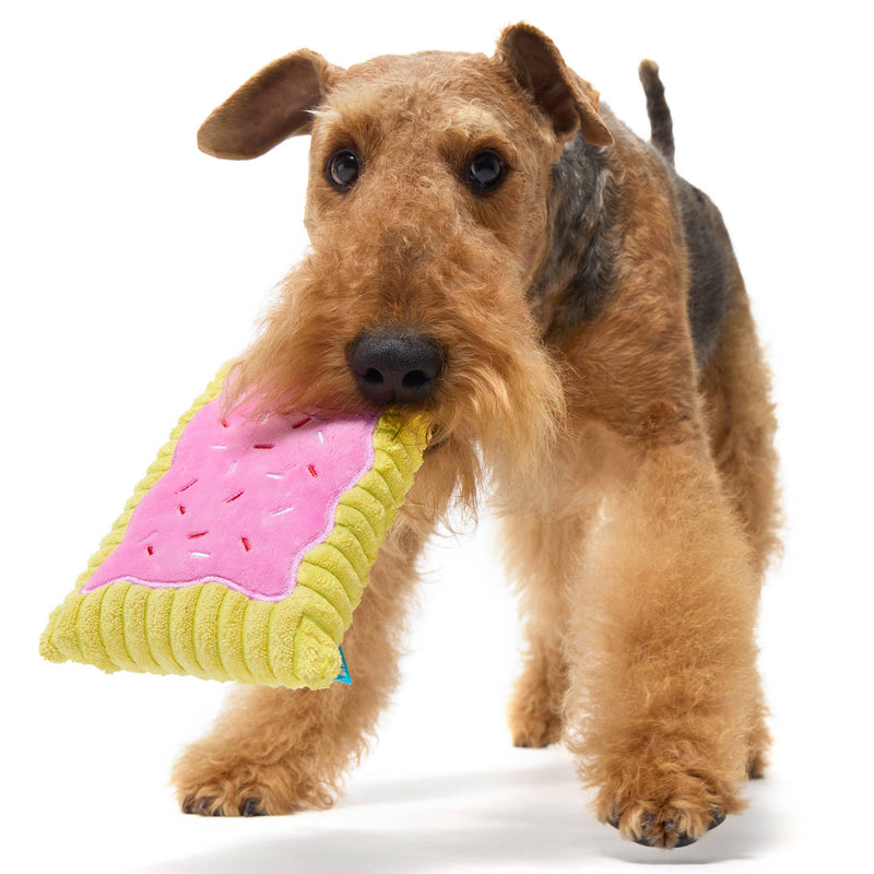 BARK Pup Tart breakfast pastry pink plush dog toy ALL sizes