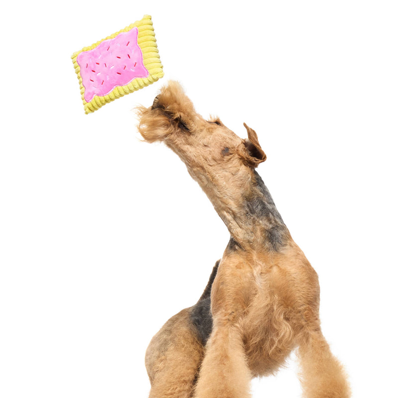 BARK Pup Tart breakfast pastry pink plush dog toy ALL sizes