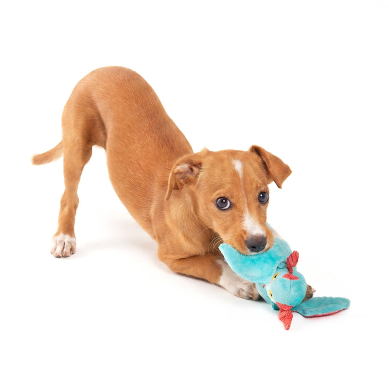 BARK Grimbold The Dragon blue red plush dragon dog toy XS/S