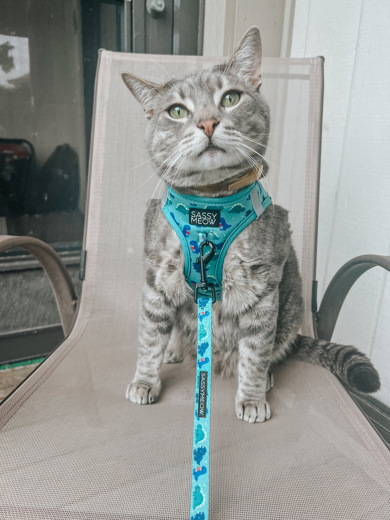 Sassy Meow Cat Harness, Dino Darling